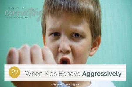 Blog-When-Kids-Behave-Aggressively