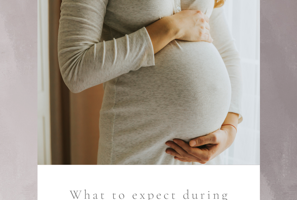 What to expect during the third trimester